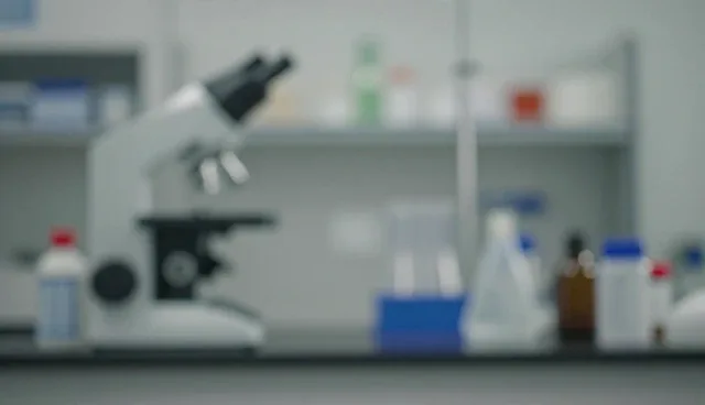 如何选择适合自己的系统优化升级方案?