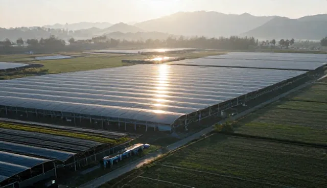 系统维护中的常见问题及技术支持解决方案